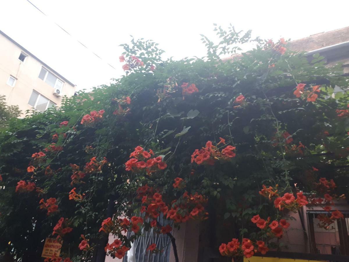 Agmashenebeli95 Aparthotel Tbilisi Buitenkant foto